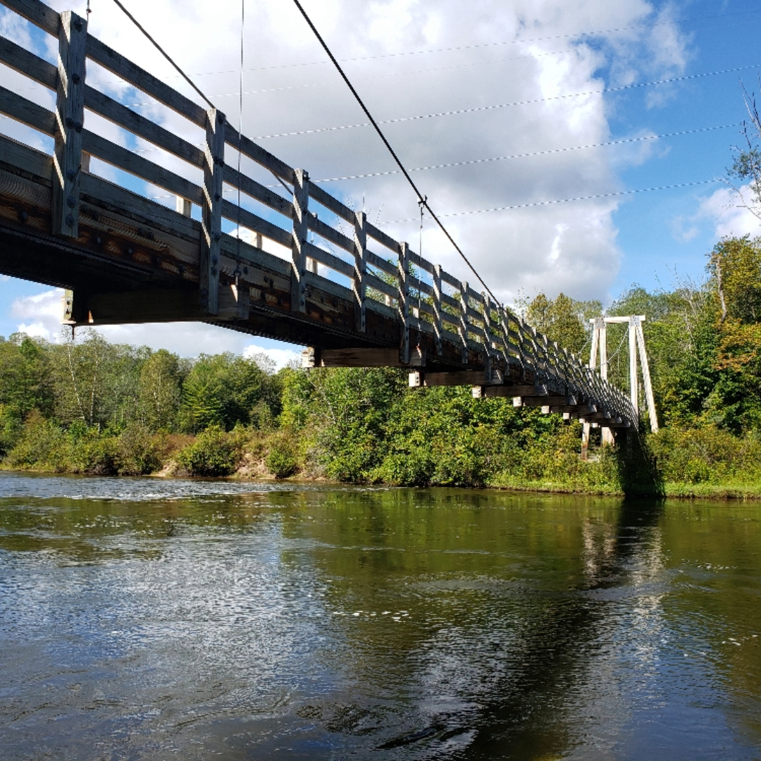 The Manistee River Trail